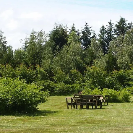 6 Person In Brovst-by Traum